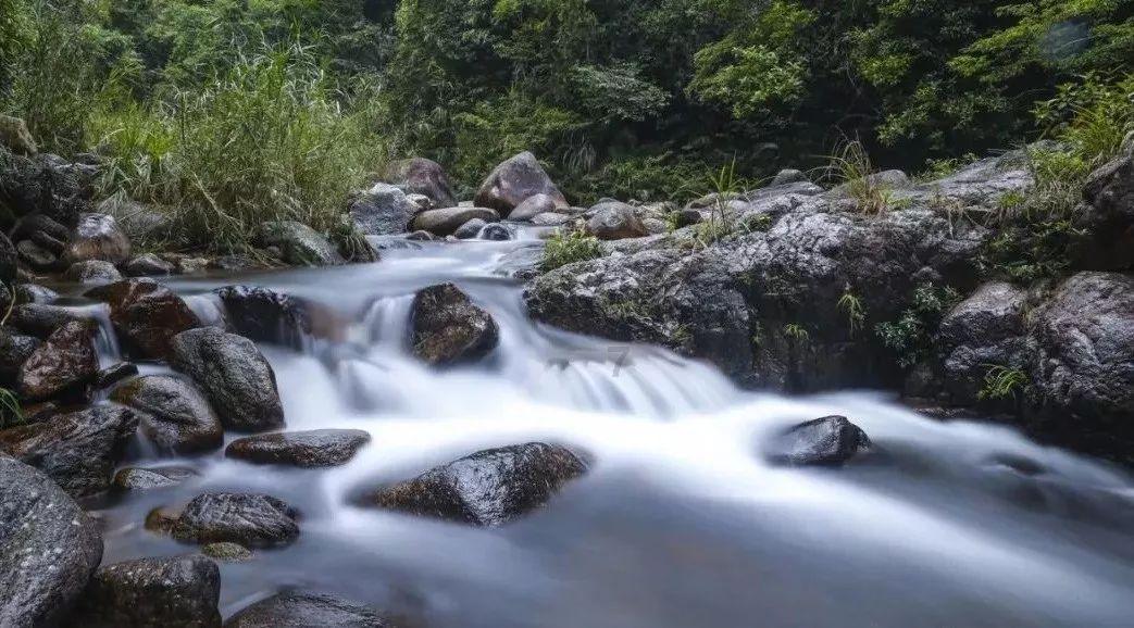 营救小乌龟